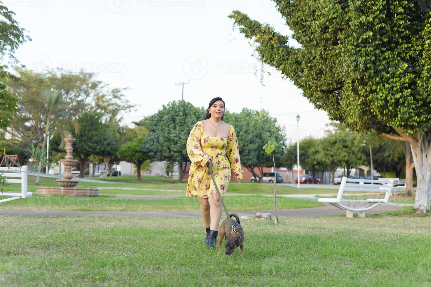 mulher caminhando com dela animal dentro uma público jardim às pôr do sol. animal amante. foto