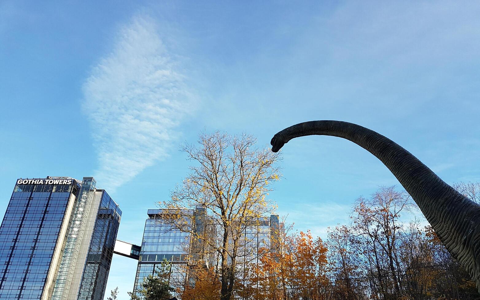 caminhando dentro a cidade Centro dentro verão. foto