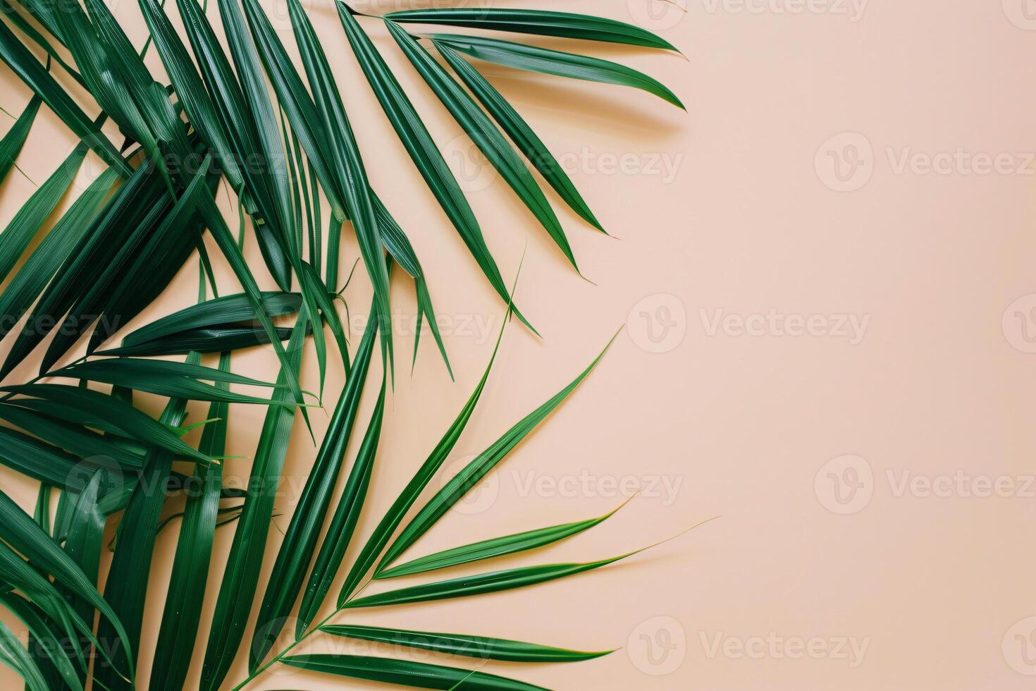 foto fresco Palma folhas em bege fundo