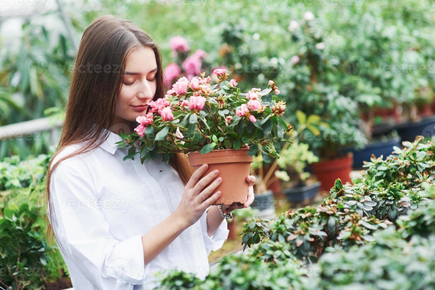 sentindo alegria. menina bonita segurando o vaso e cheirando as flores na estufa foto