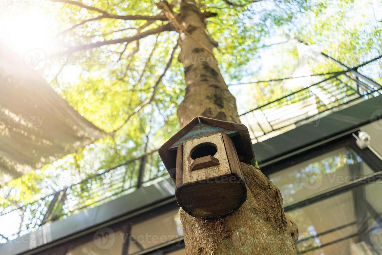 pássaro casa dentro natureza Lugar, colocar foto