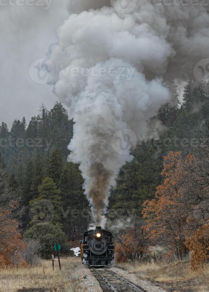 vintage vapor trem ondulante fumaça e vapor Como isto movimentos através a montanhas.on uma frio e Nevado dia. foto