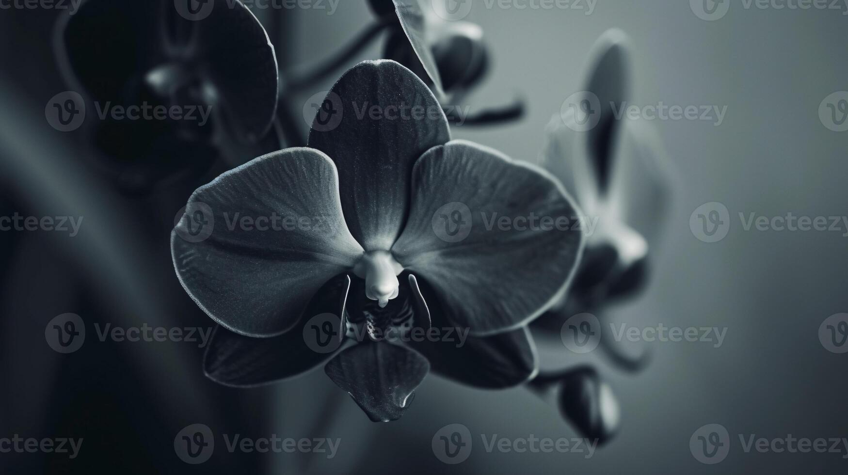 encantador mundo do flora, uma delicado colori orquídea dentro cheio flor foto