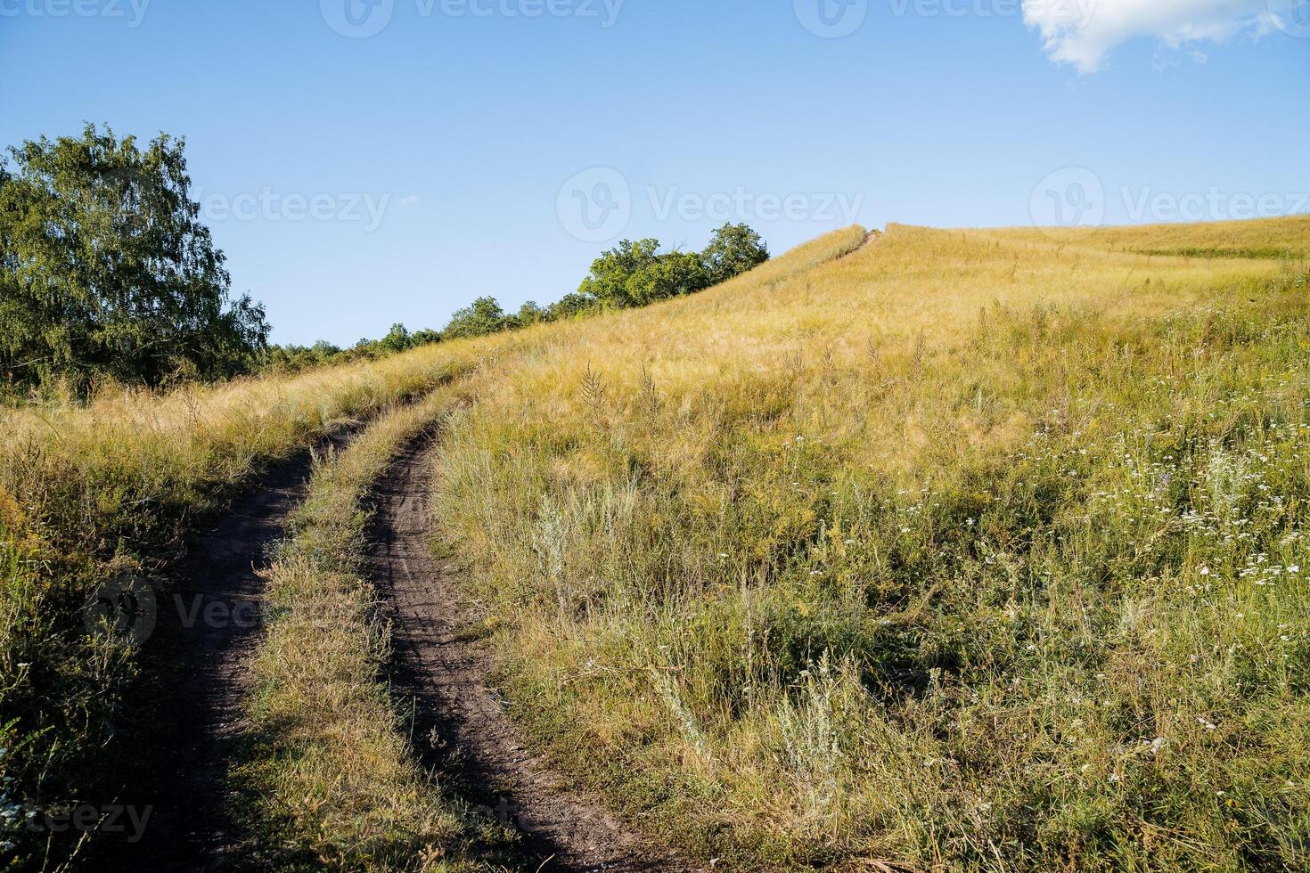 sujeira estrada abruptamente sobe acima a campo, montanhoso terreno, tarde paisagem, suave virar do a estrada, horizonte linha, às a topo do a montanha, russo campo foto