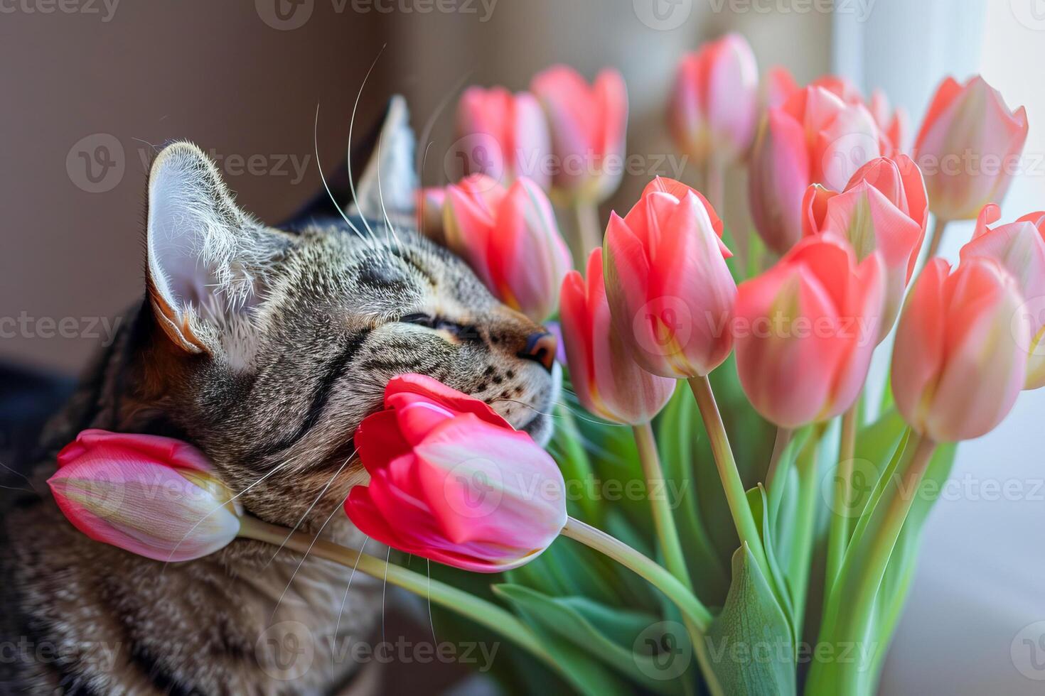 doméstico malhado gato com tulipas. . foto