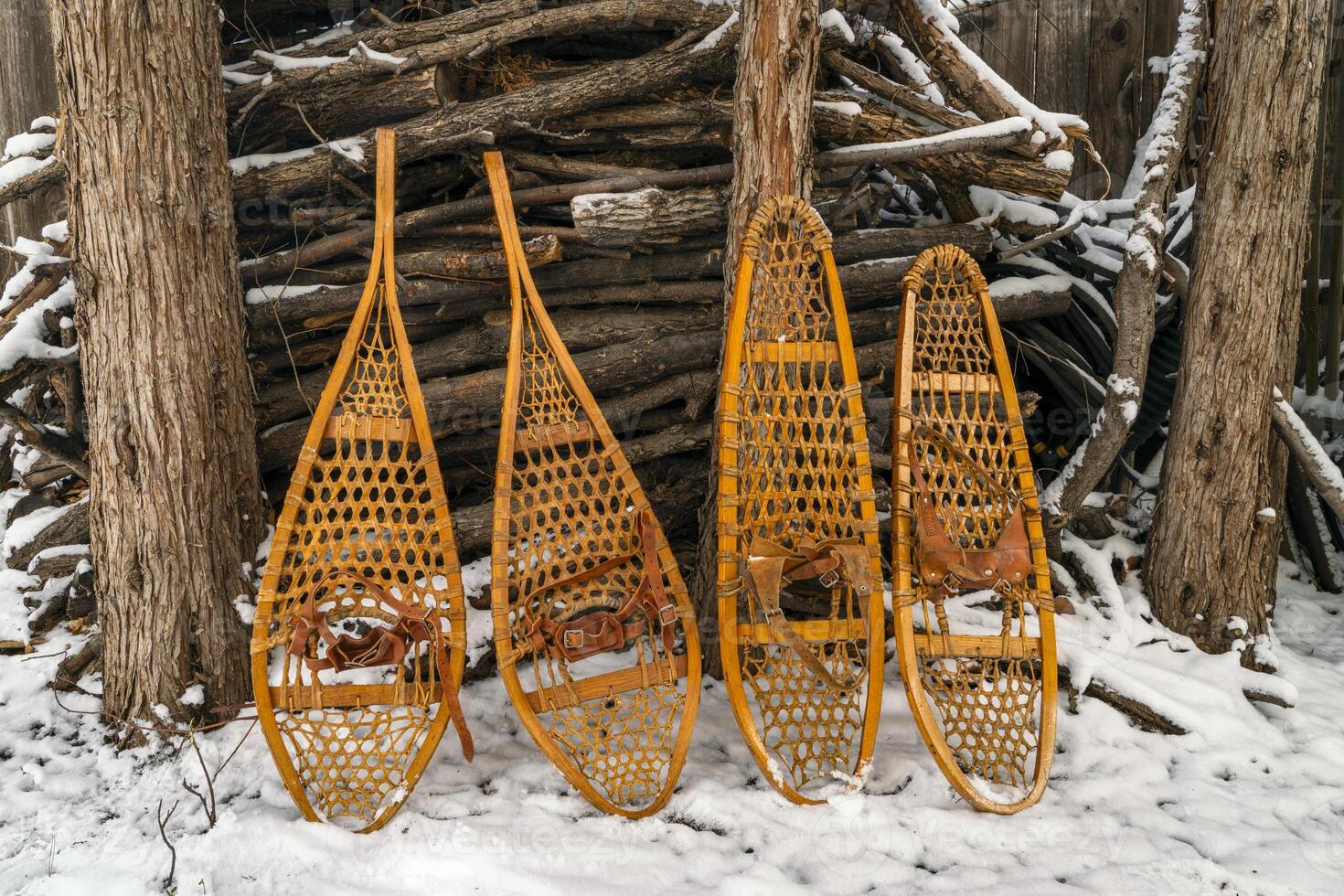 clássico de madeira raquetes de neve, huron e Urso pata, contra uma pilha do lenha foto