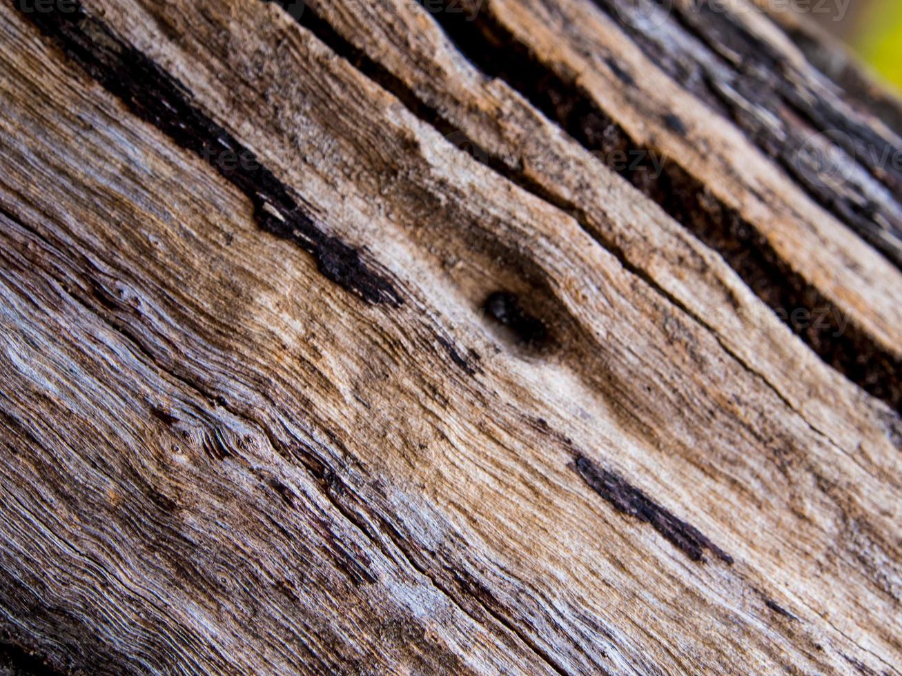 textura de superfície de toco de madeira velha foto