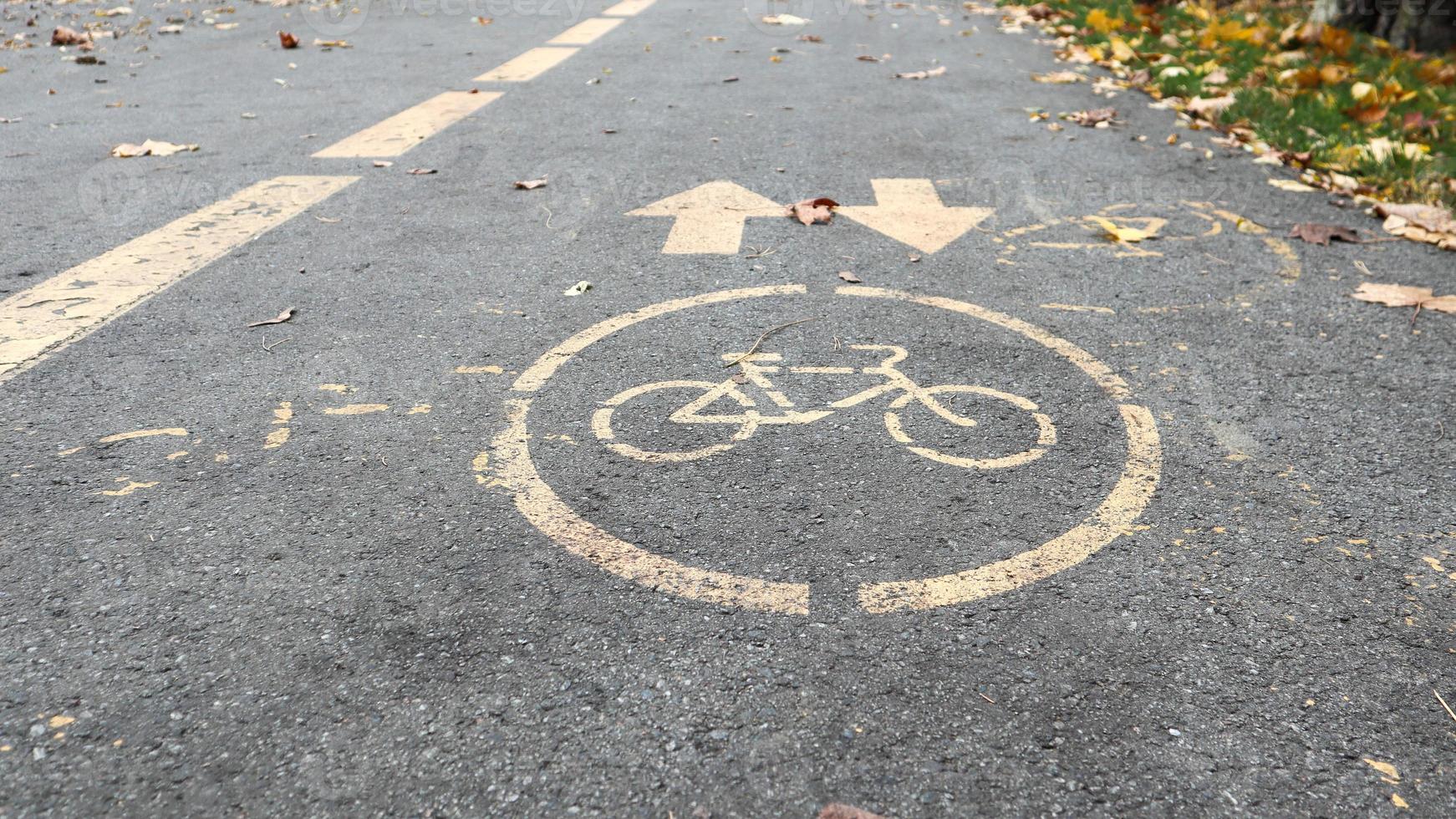 ciclovia ao lado de uma estrada da cidade no outono. marcação rodoviária na forma de duas setas que se aproximam em um caminho de asfalto no parque outono. folhas caídas na floresta. conceito de outono foto