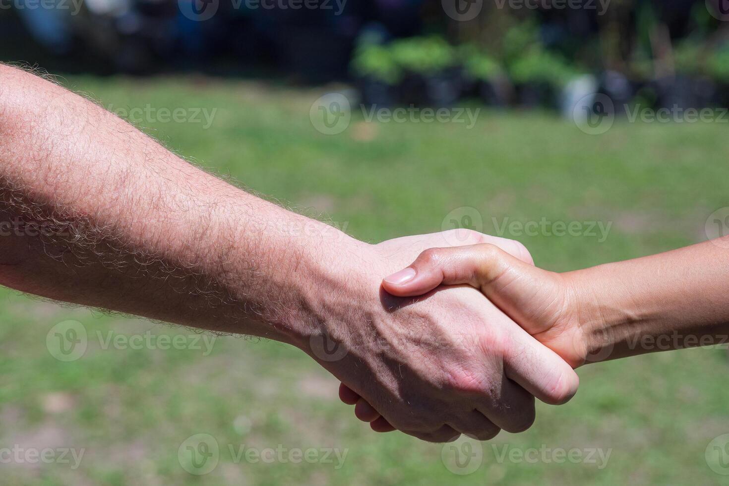 fechar-se tiro do homem tremendo mãos com mulher dentro a jardim. conceito do trabalho em equipe. foto