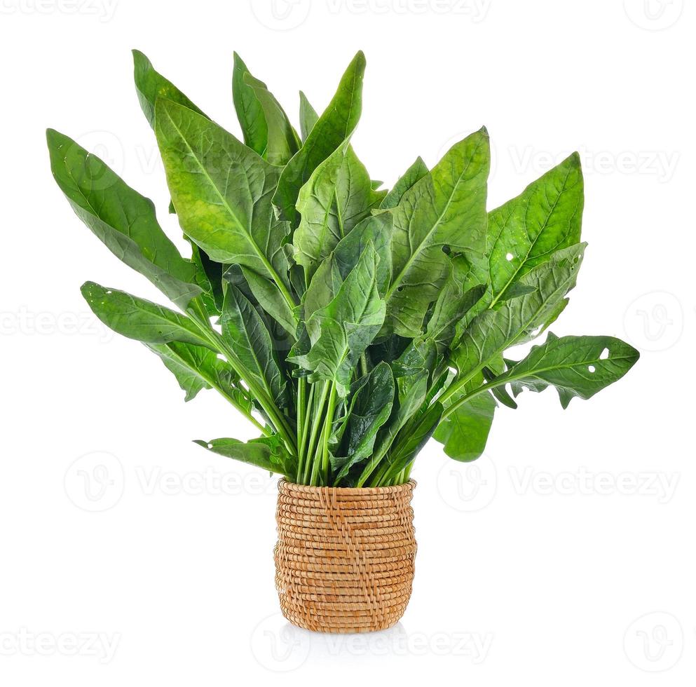folhas de espinafre em uma cesta isolada no fundo branco foto