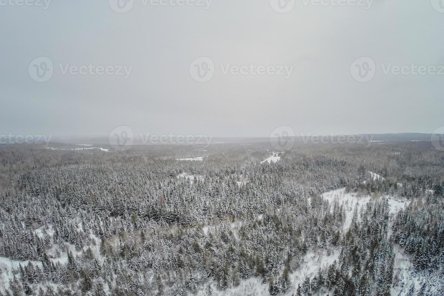 vista aérea da natureza selvagem e da floresta durante o inverno. foto