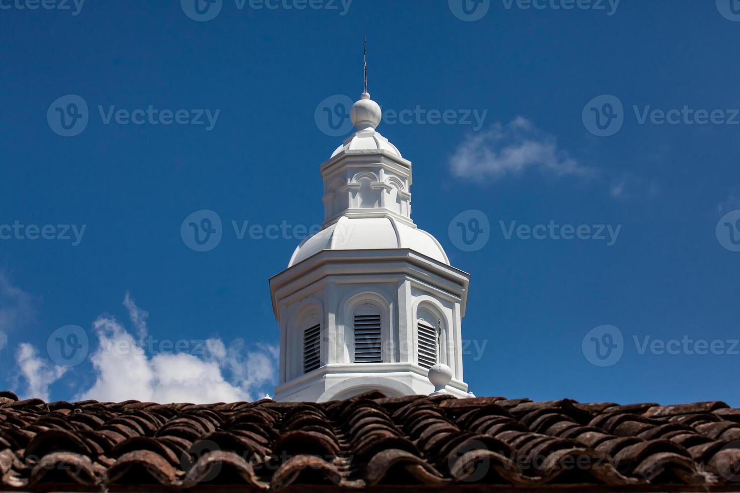 histórico menor basílica do a imaculado concepção inaugurado dentro 1874 dentro a herança Cidade do salamina dentro a departamento do Caldas dentro Colômbia foto