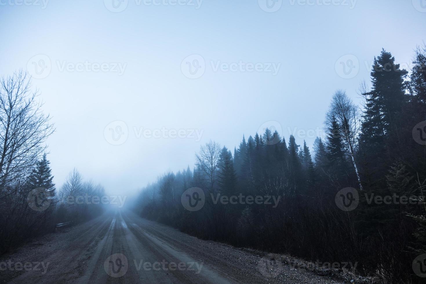 Nevoeiro assustador e má visibilidade em estrada rural na floresta foto