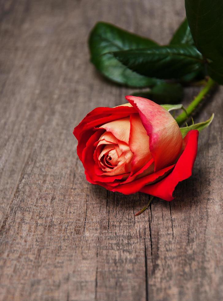 rosa vermelha em uma mesa de madeira foto