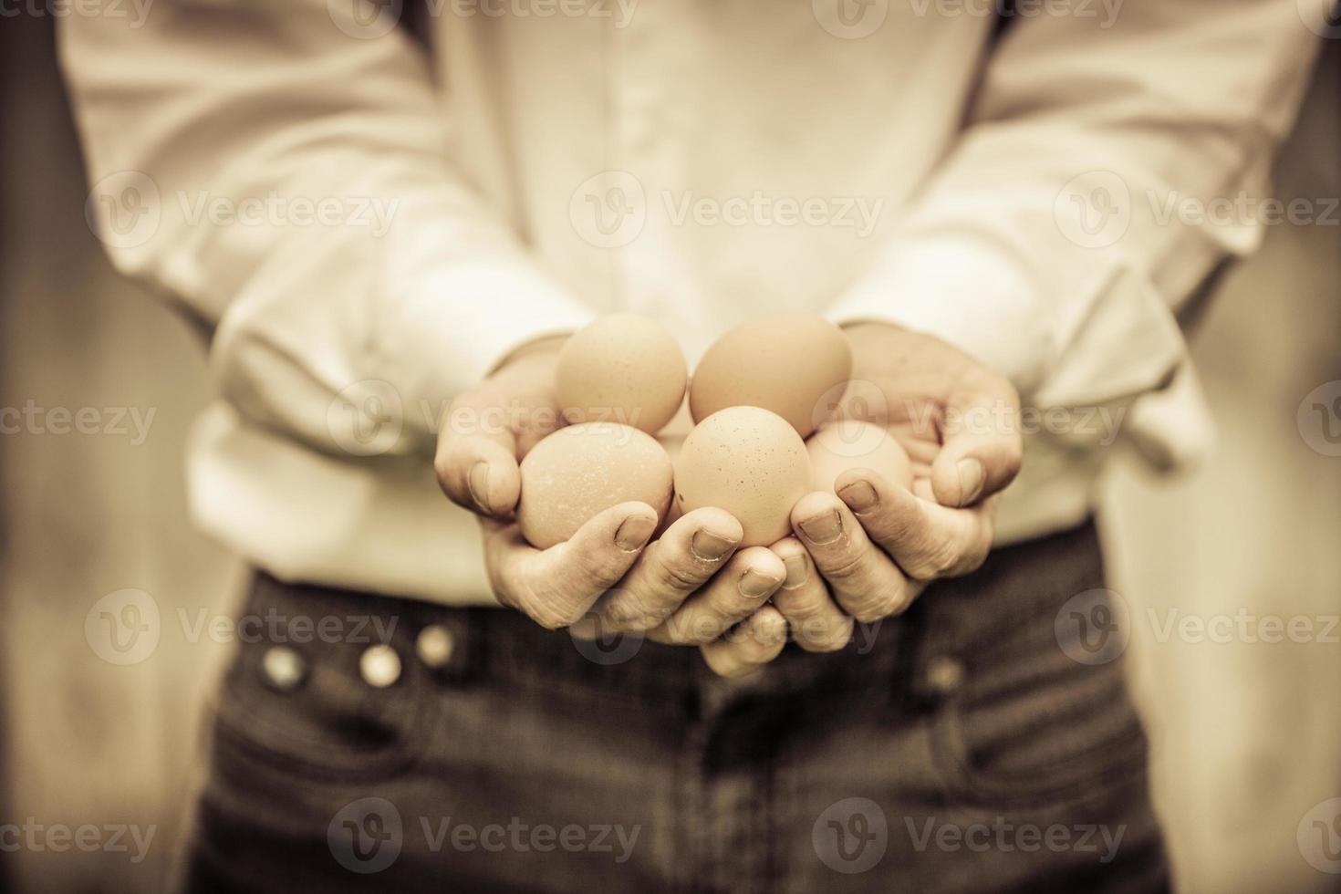 closeup de fazendeiro segurando ovos foto