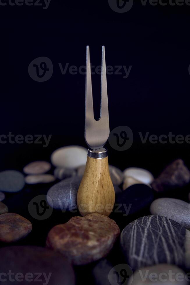 peixe e queijo faca com uma de madeira lidar com em uma Preto fundo com mar pedrinhas foto