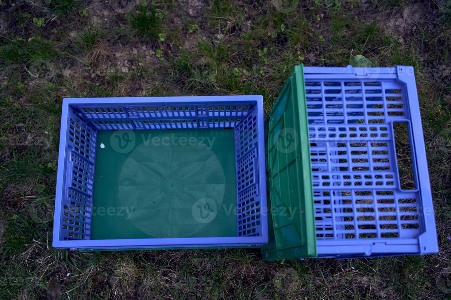 plástico caixas para legumes mentira em a Relva foto