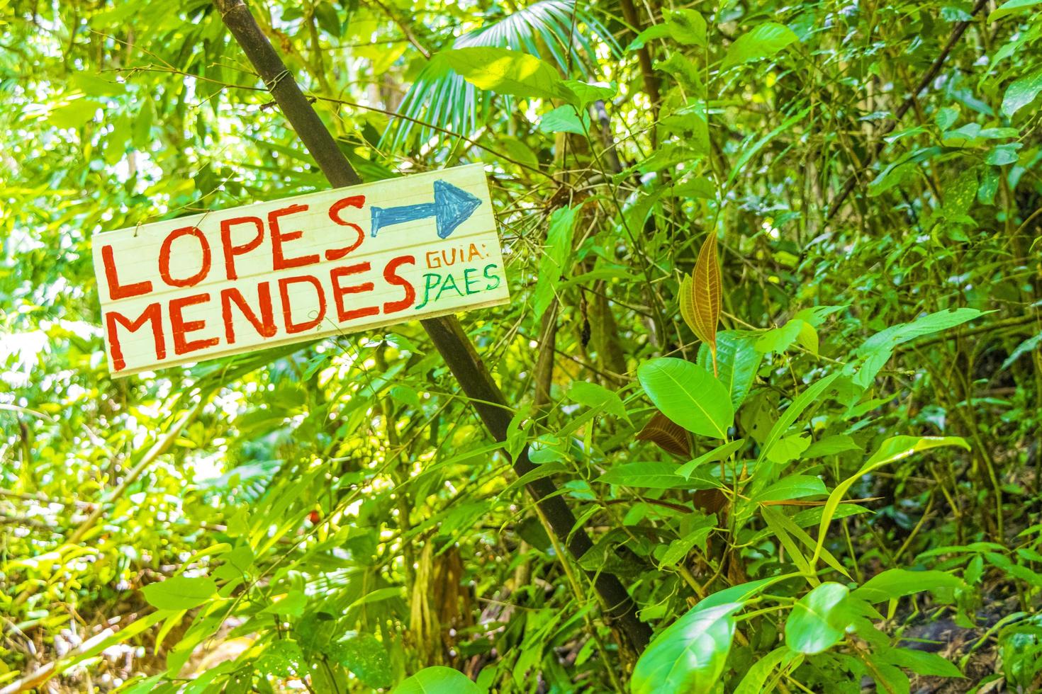 sinalização de direção para trilha de caminhada para lopes mendes na ilha grande. foto