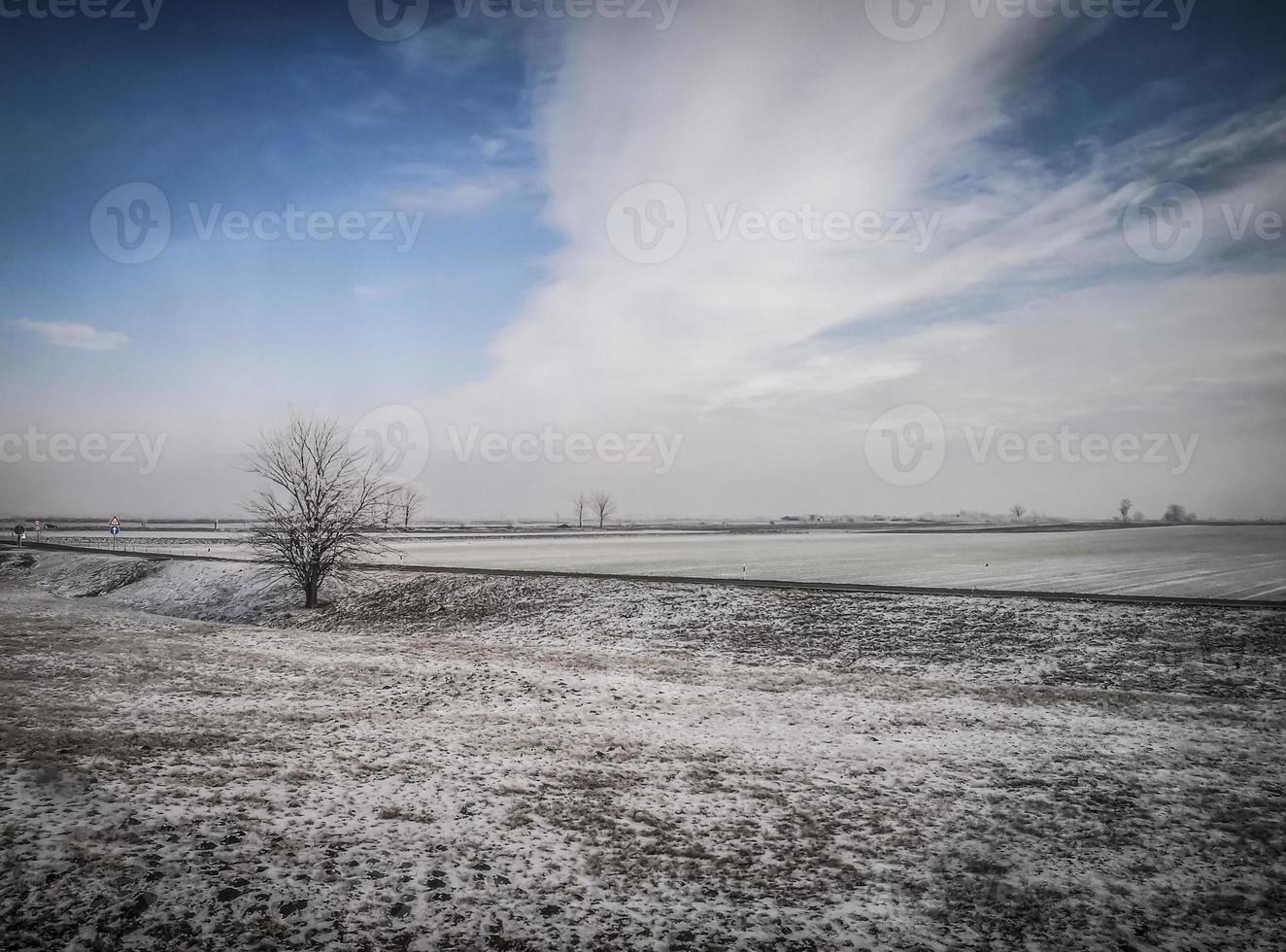 planície coberta de neve em vojvodina na sérvia foto