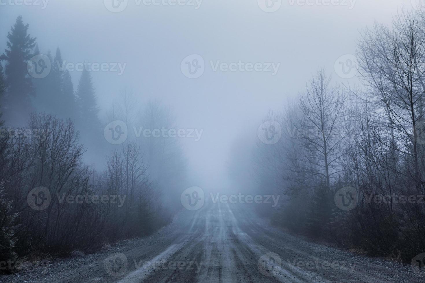 Nevoeiro assustador e má visibilidade em estrada rural na floresta foto