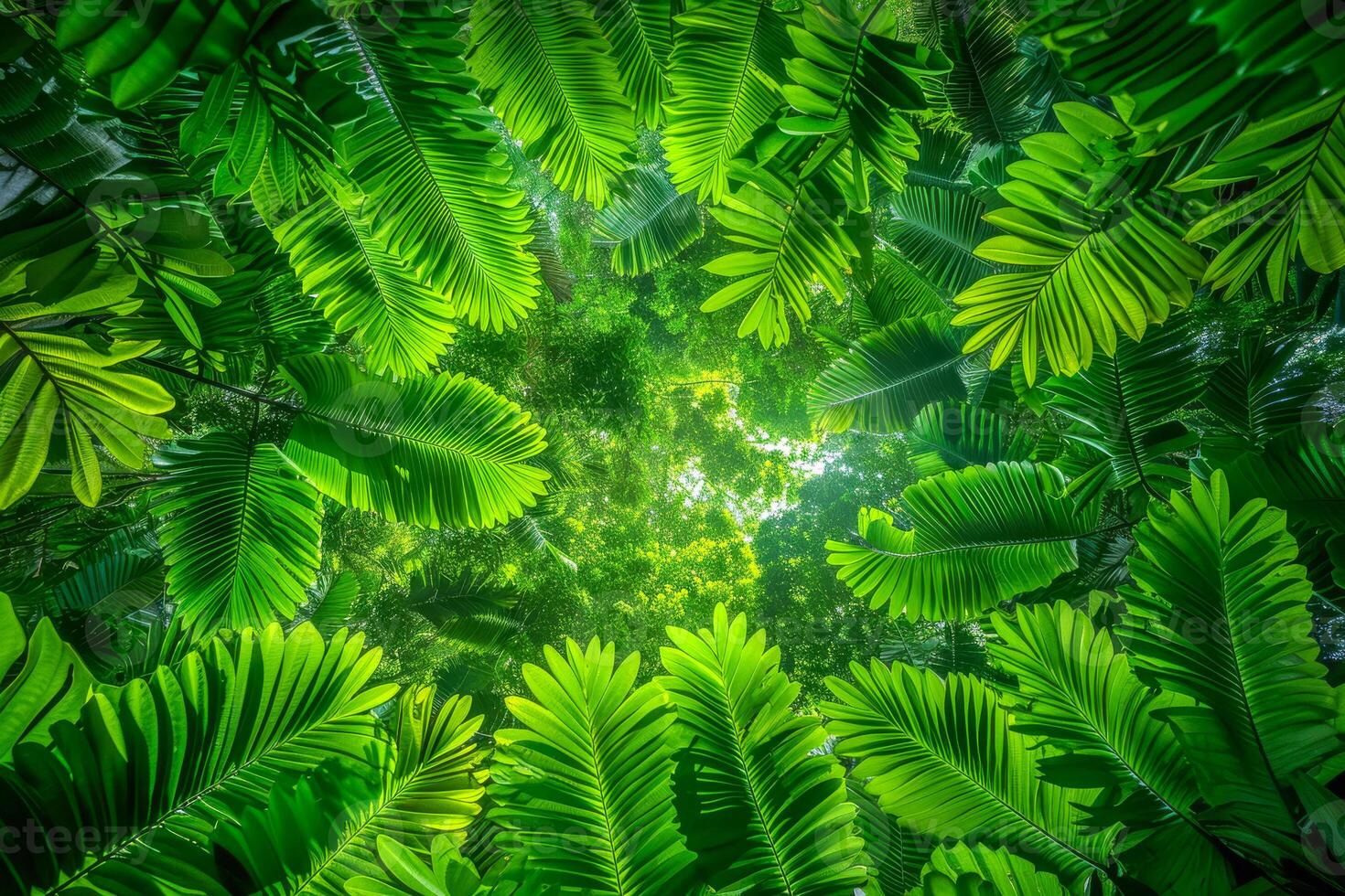 ai gerado a para cima Visão abaixo uma denso tropical floresta, com a Sol fundição luz em a rico verduras e criando uma dinâmico contraste com a céu foto