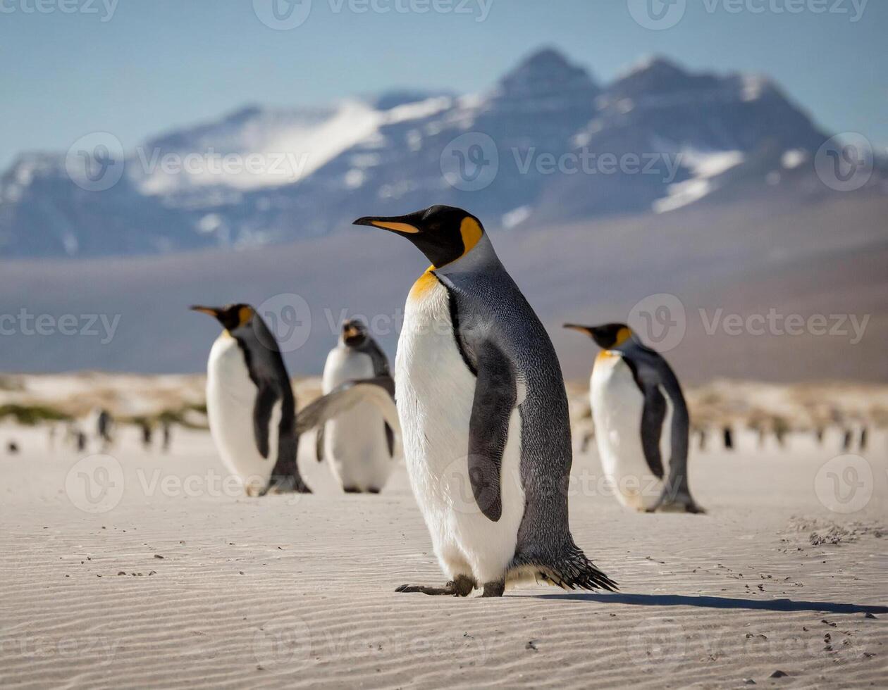 ai gerado clima mudança conceito pinguins dentro a deserto foto