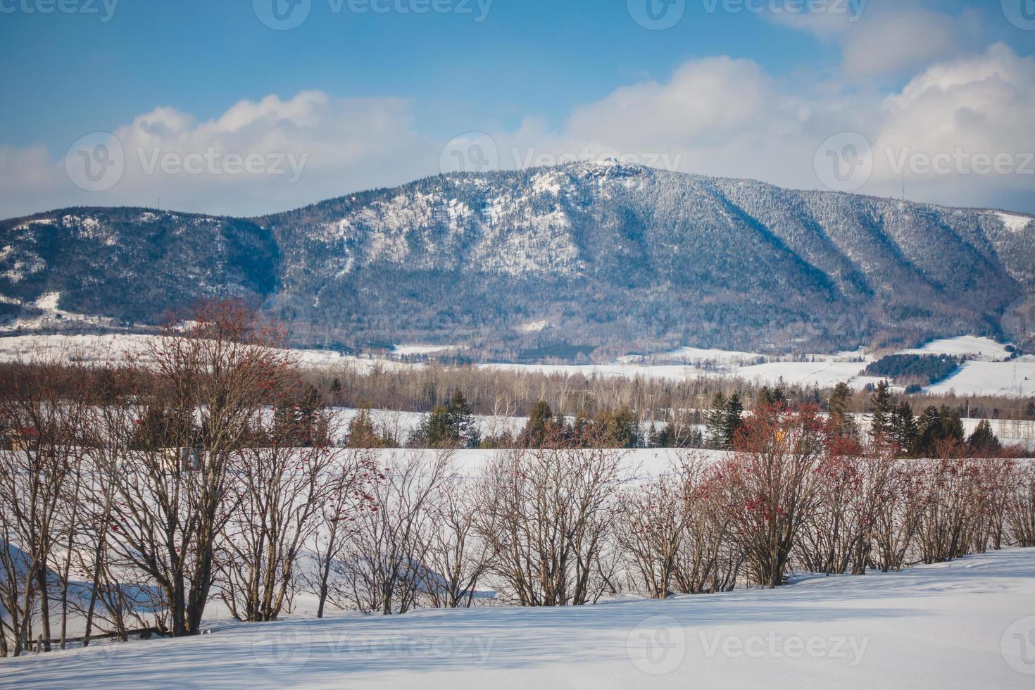 montanha carleton st-joseph durante o inverno foto