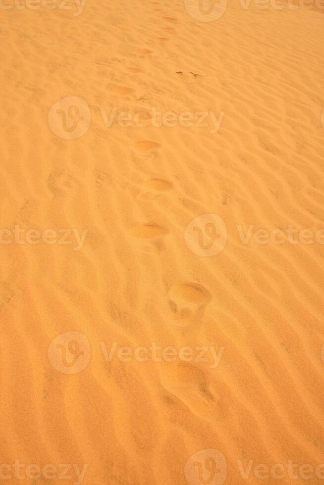 velho pegadas dentro a areia dentro a deserto. foto