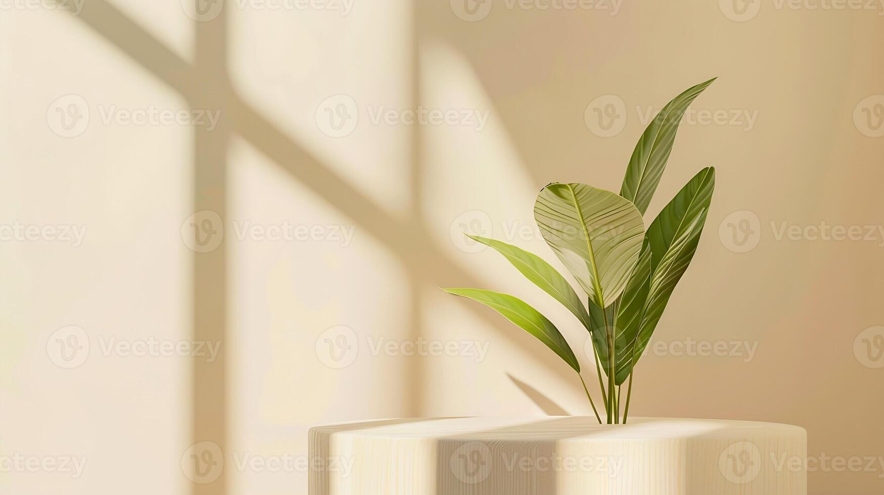 mínimo madeira branco pódio com borrado verde folha plantar em bege beleza de fundo Cosmético natural suave produtos moderno natureza de exibição eco amigáveis conceito, foto