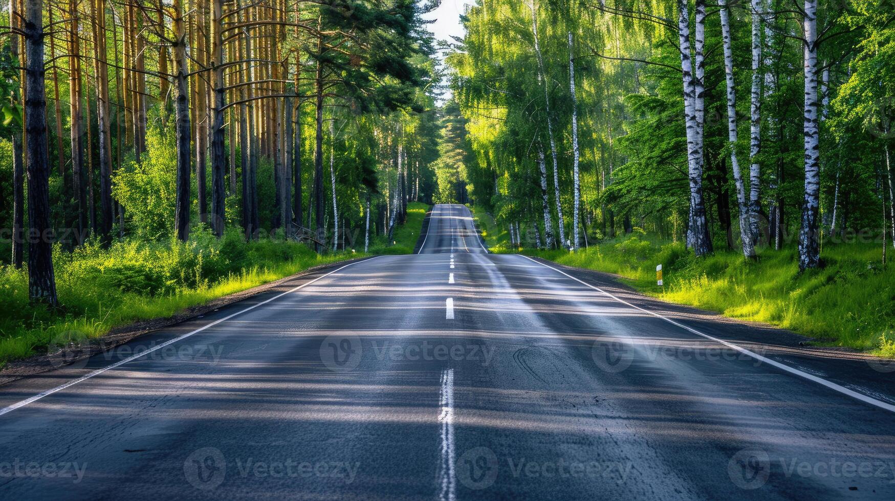 estrada fundo, acolhedor estrada com marcações e denso. verão floresta em a lados. foto