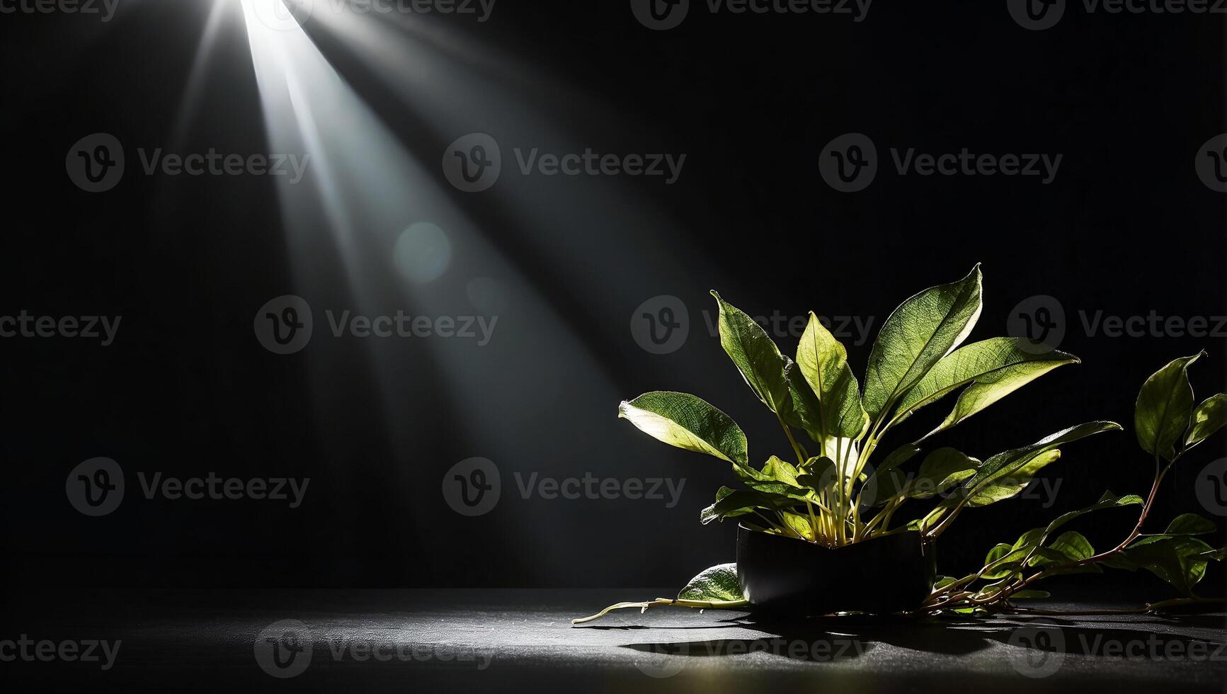 uma raio do luz solar brilha em uma amarelo lótus, uma flor, ter esperança, em uma completamente Preto fundo foto