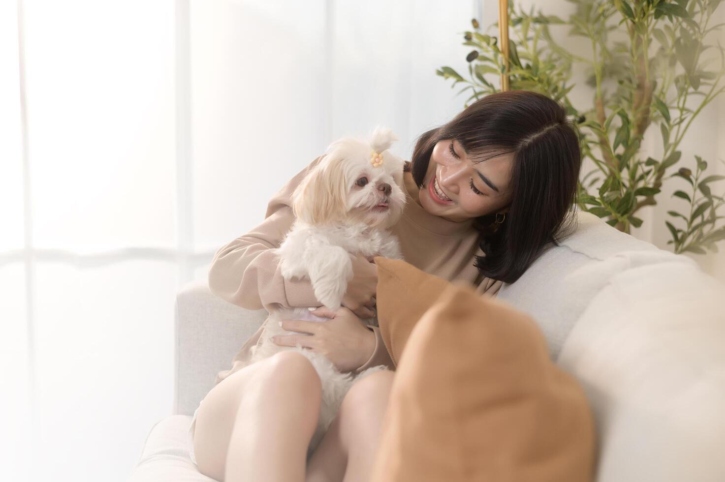 feliz jovem ásia mulher abraço e gastos Tempo com fofa cachorro dentro vivo sala. foto