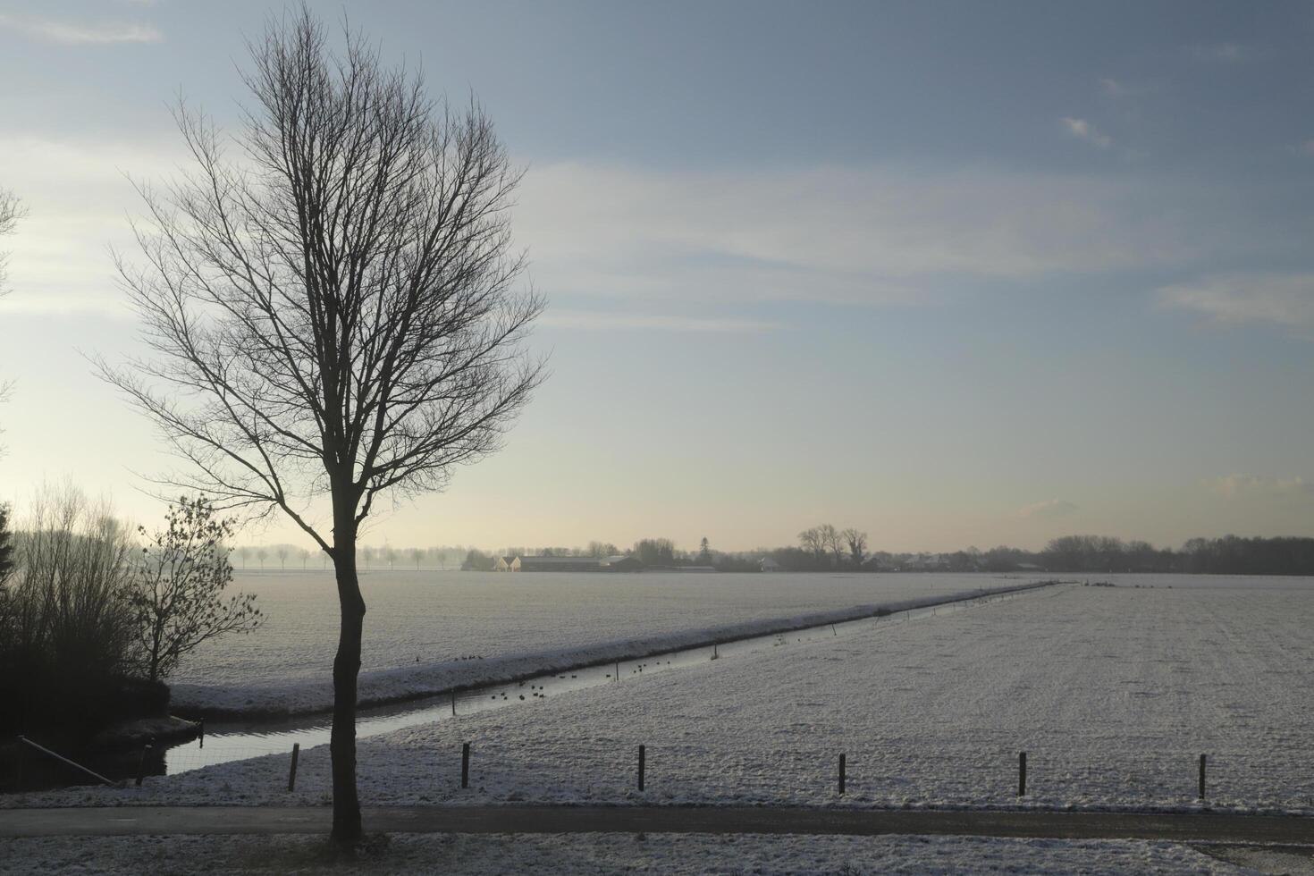 inverno panorama dentro a Países Baixos foto