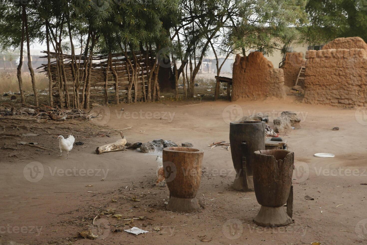 Vila dentro a norte do benin com a nome kale. a tribal pessoas ter seus próprio língua e viver a partir de agricultura. muitos casas estão lama casas. foto