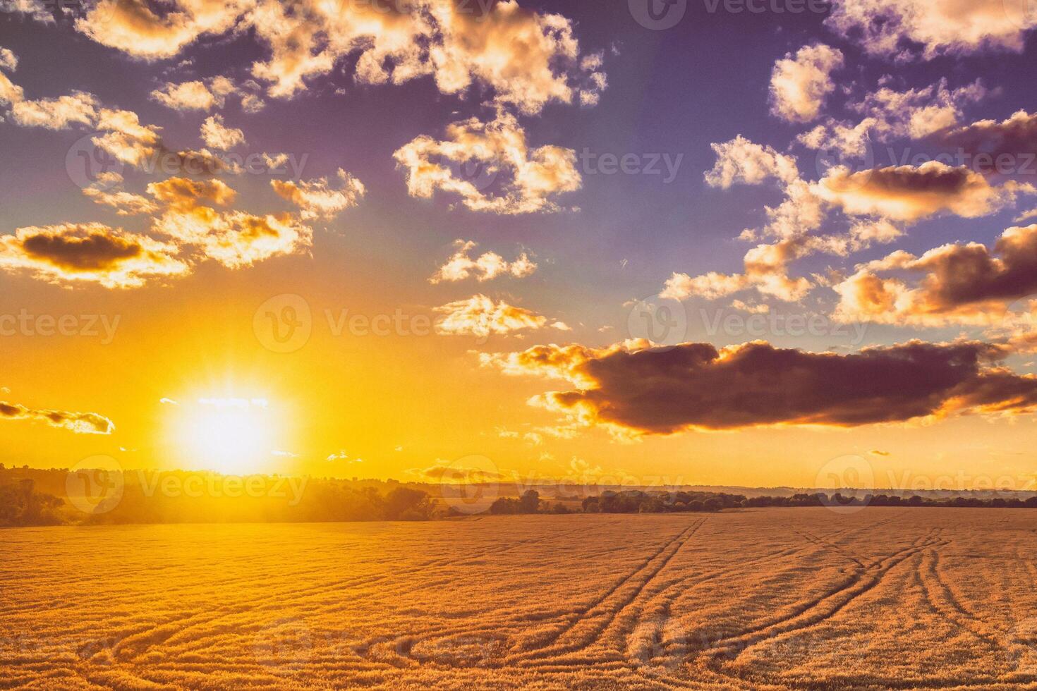 topo Visão do uma pôr do sol ou nascer do sol dentro a agrícola campo com orelhas do jovem dourado centeio com uma nublado céu. estética do vintage filme. foto