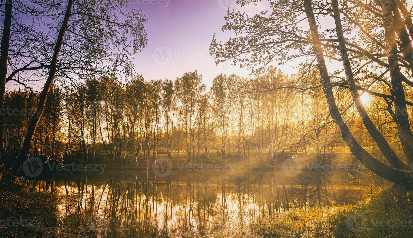 alvorecer em uma lago ou rio com uma céu refletido dentro a água, bétula árvores em a costa e a raios solares quebra através eles e névoa dentro outono. estética do vintage filme. foto