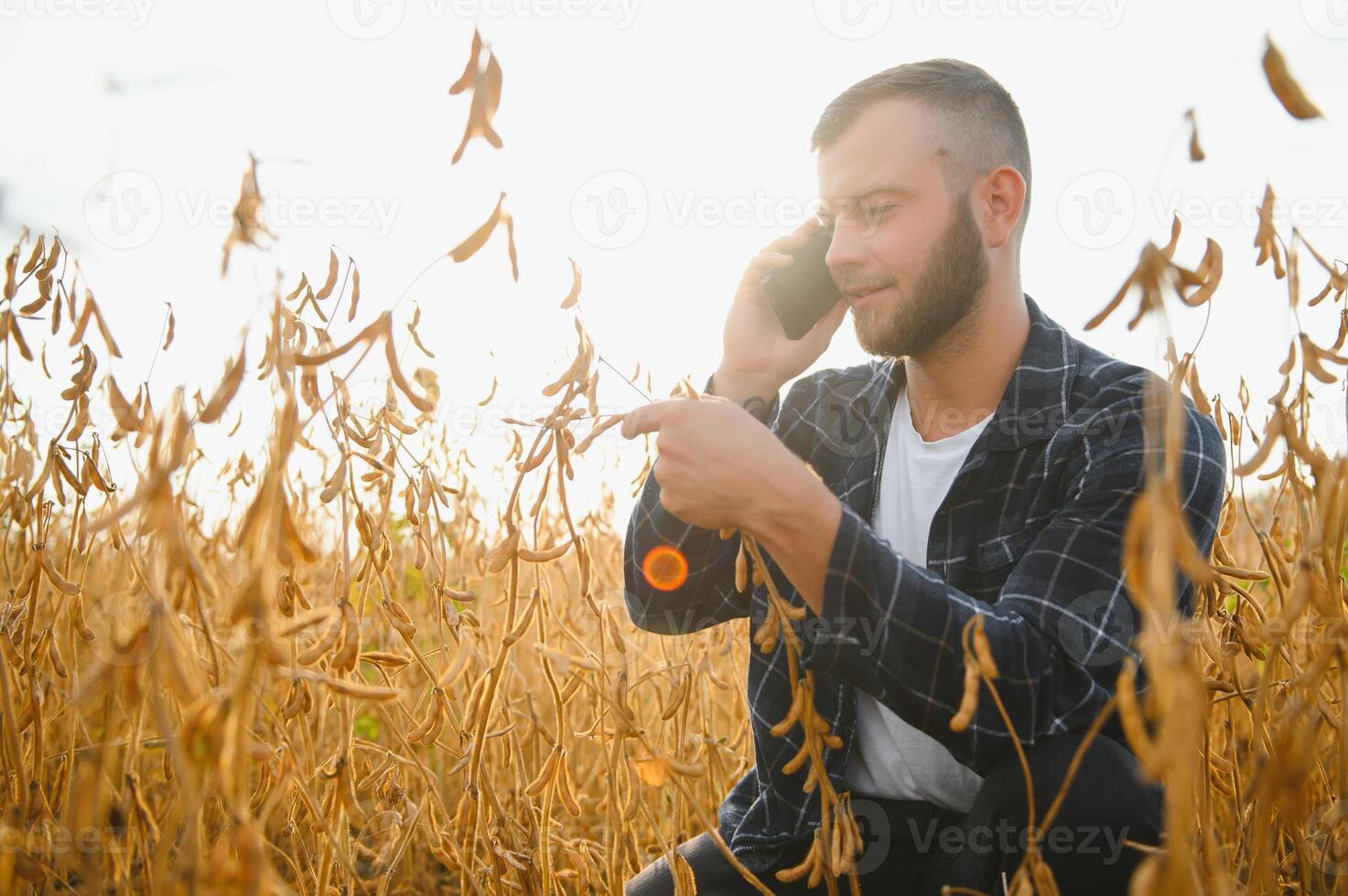 uma fofa agricultor é em pé dentro uma soja campo e falando em a telefone com dele o negócio parceiro foto