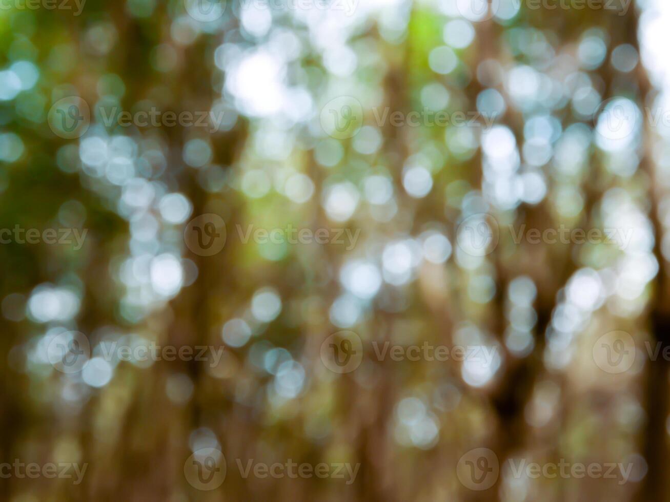 lindo colorida reflexões em uma Preto fundo foto