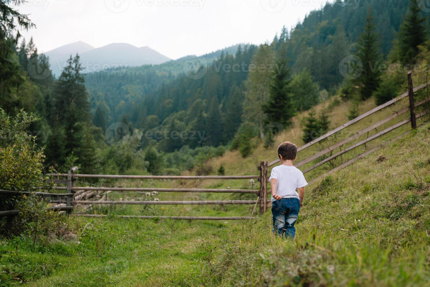 pequeno Garoto caminhando perto do uma montanha Vila foto