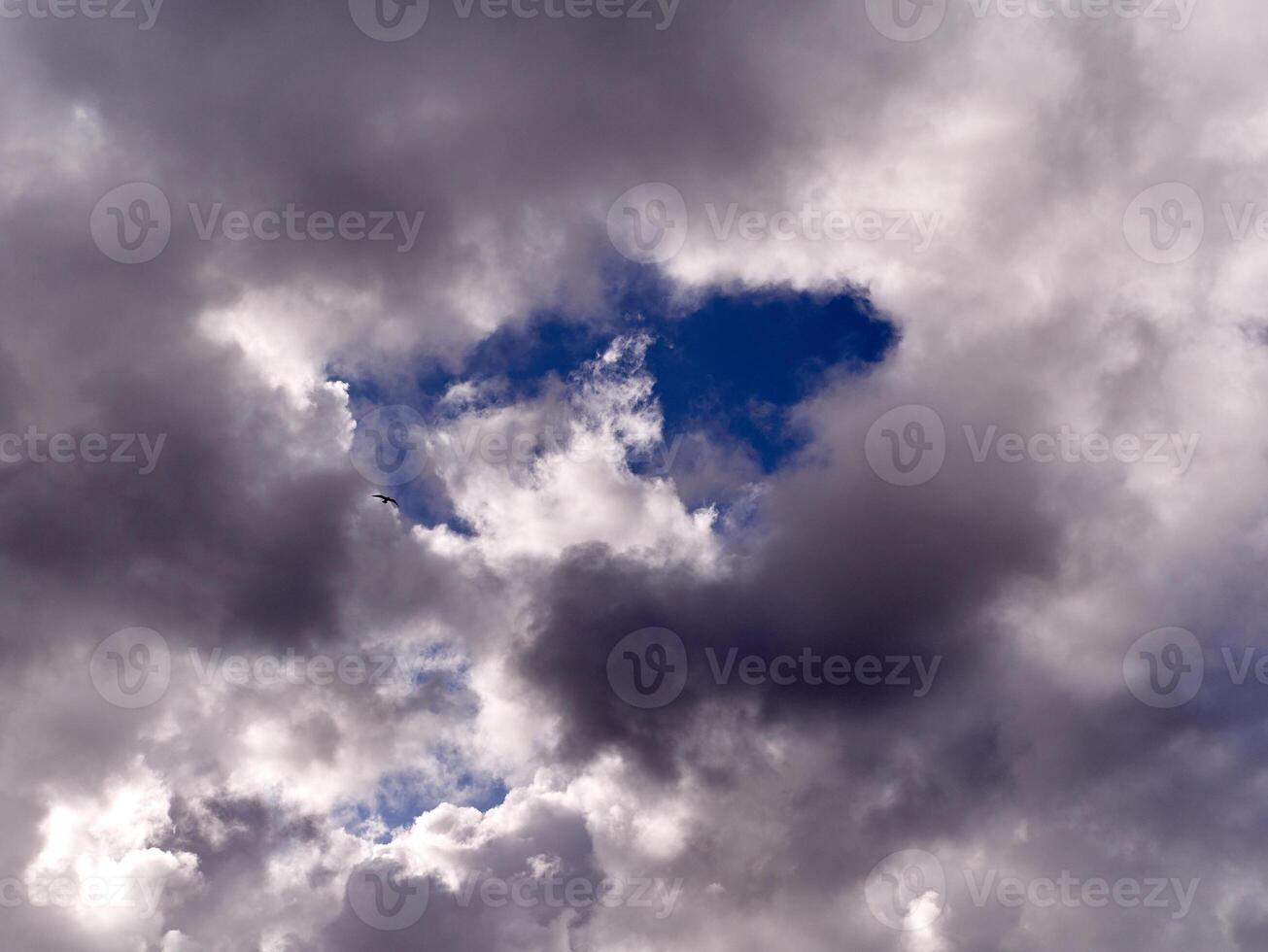 branco fofo cumulus nuvens dentro a verão céu, natural nuvens fundo foto