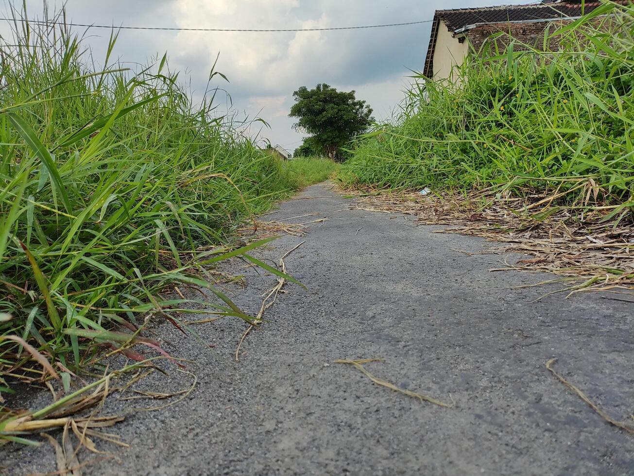 Visão do esvaziar estrada contra nublado céu foto