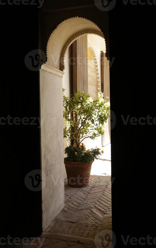 Alcazaba Palácio dentro málaga, Espanha foto