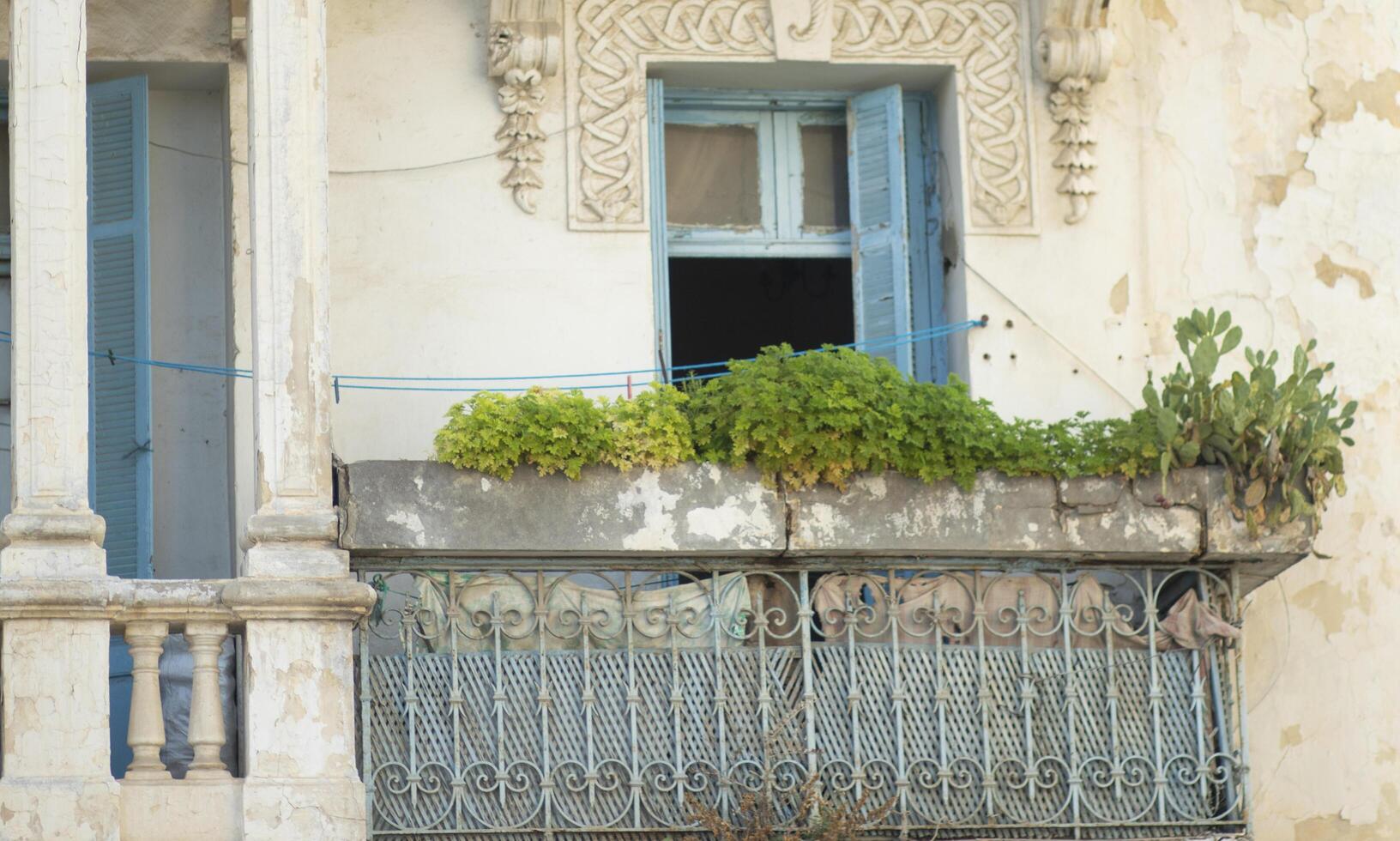 urbano oásis exuberante sacada jardim fuga francês colônia foto