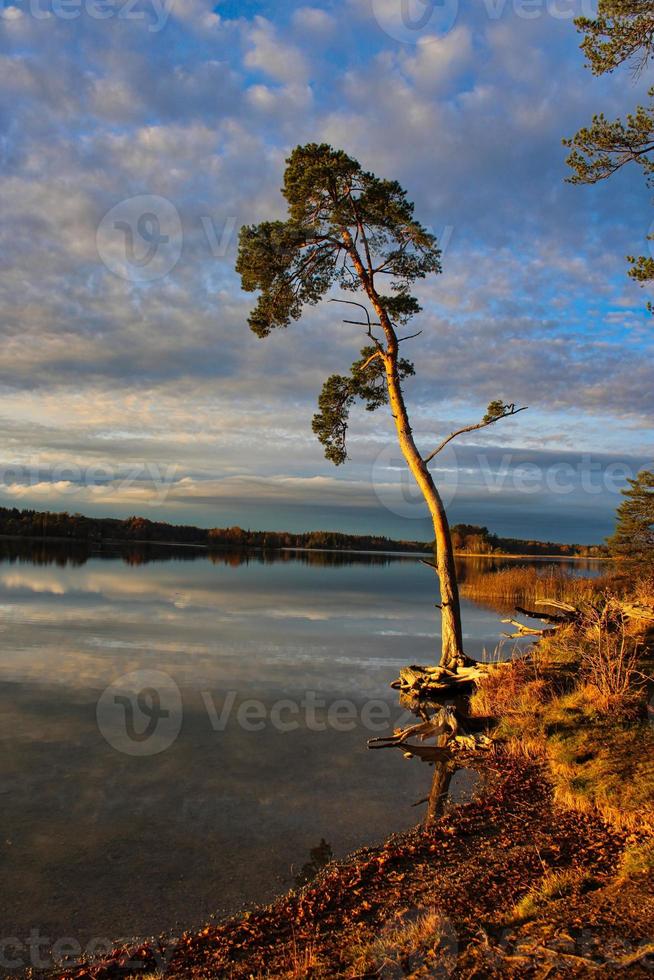 foto romântica de um lago com reflexos perfeitos do sol na água