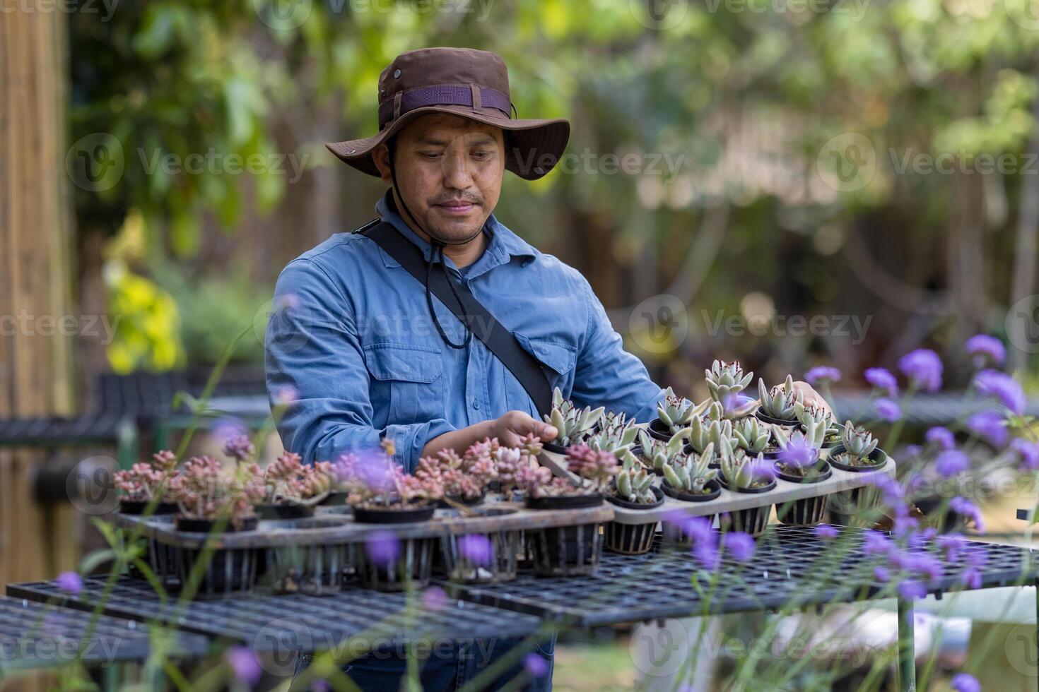 ásia jardineiro é trabalhando dentro a propagação estante mesa às berçário jardim Centro para suculento nativo e exótico plantar produtor foto