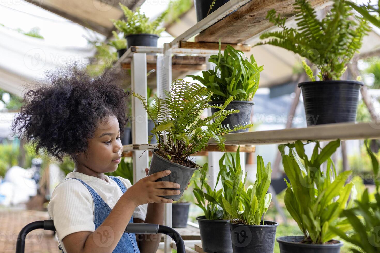 jovem africano americano criança é escolhendo tropical samambaia e ornamental plantar a partir de a local jardim Centro berçário durante verão para final de semana jardinagem e ao ar livre atividade foto