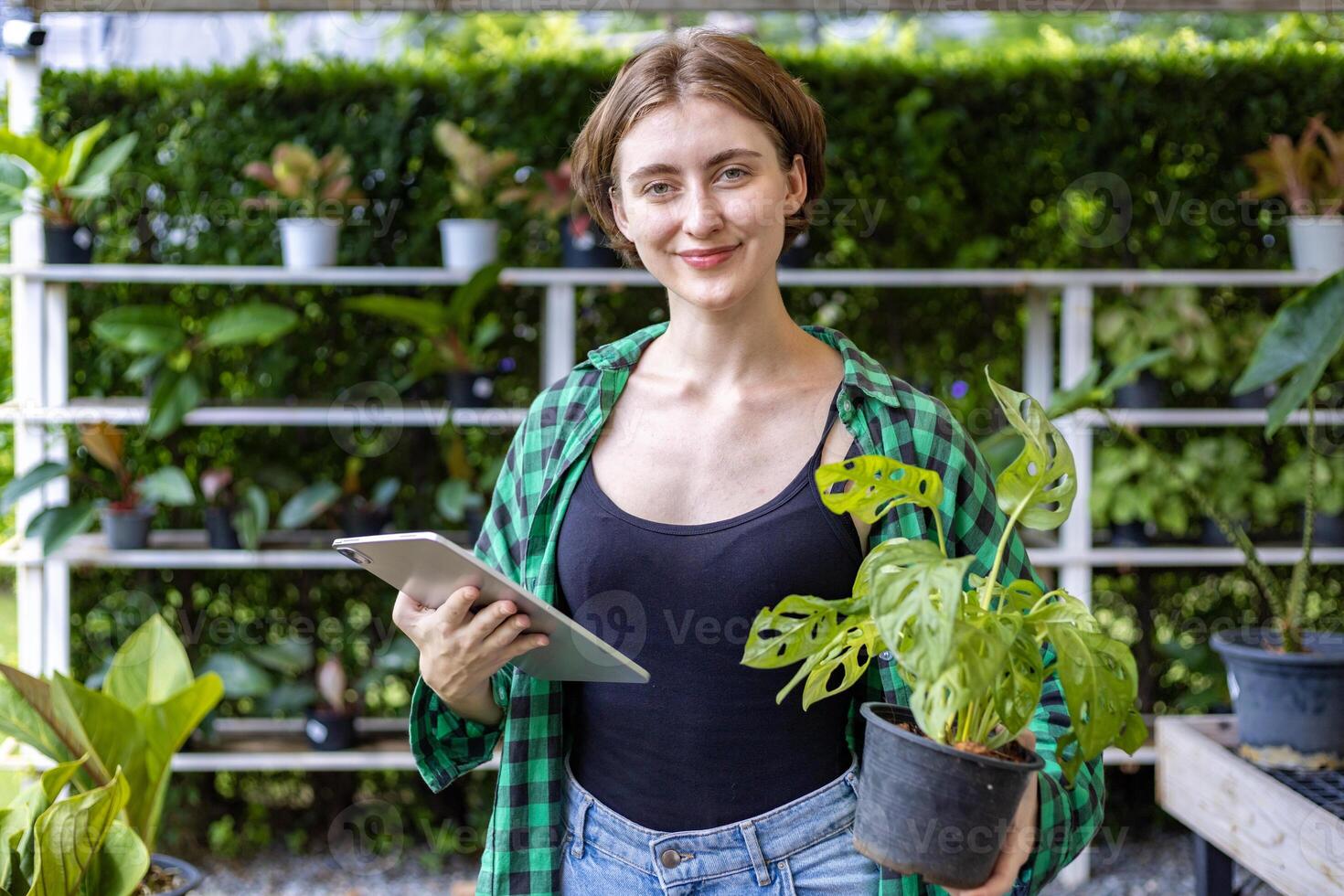 caucasiano jardineiro é escolhendo alocasia plantar dentro a estufa para floresta tropical exótico concurso plantar para ornamental jardinagem foto