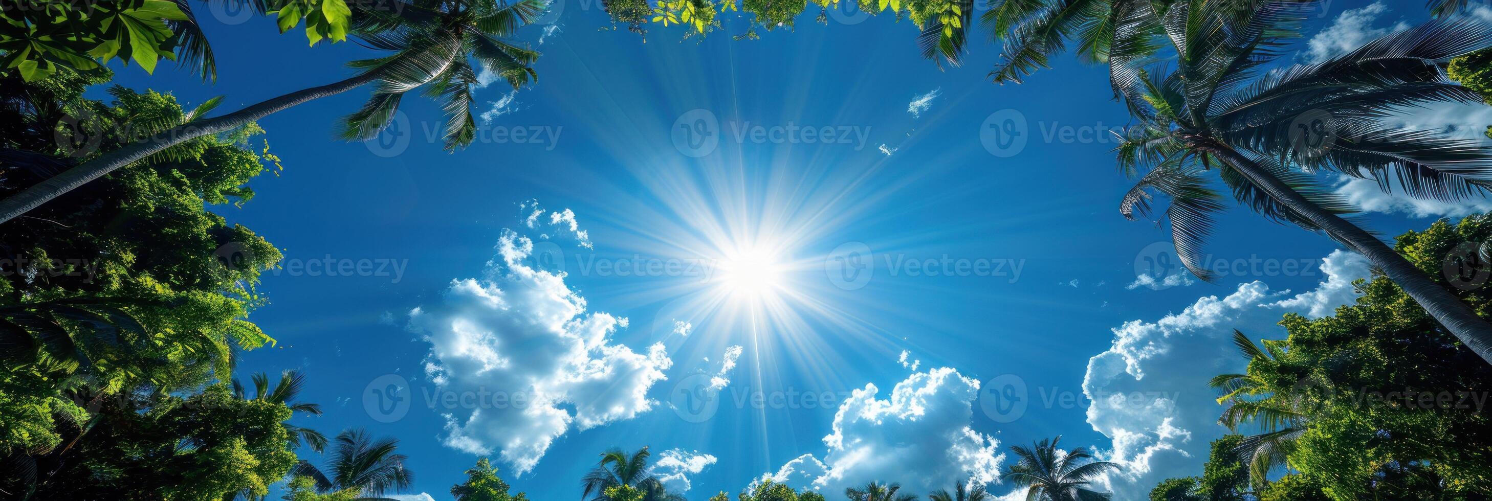 brilhante Sol brilhando através alta Palma árvores foto