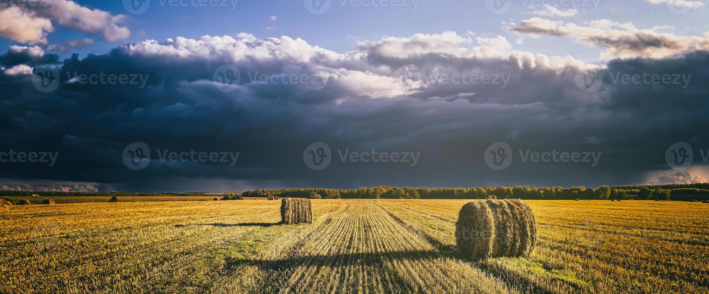 uma campo do uma palheiros em a outono dia, iluminado de luz solar, com chuva nuvens dentro a céu. vintage filme estética. panorama. foto