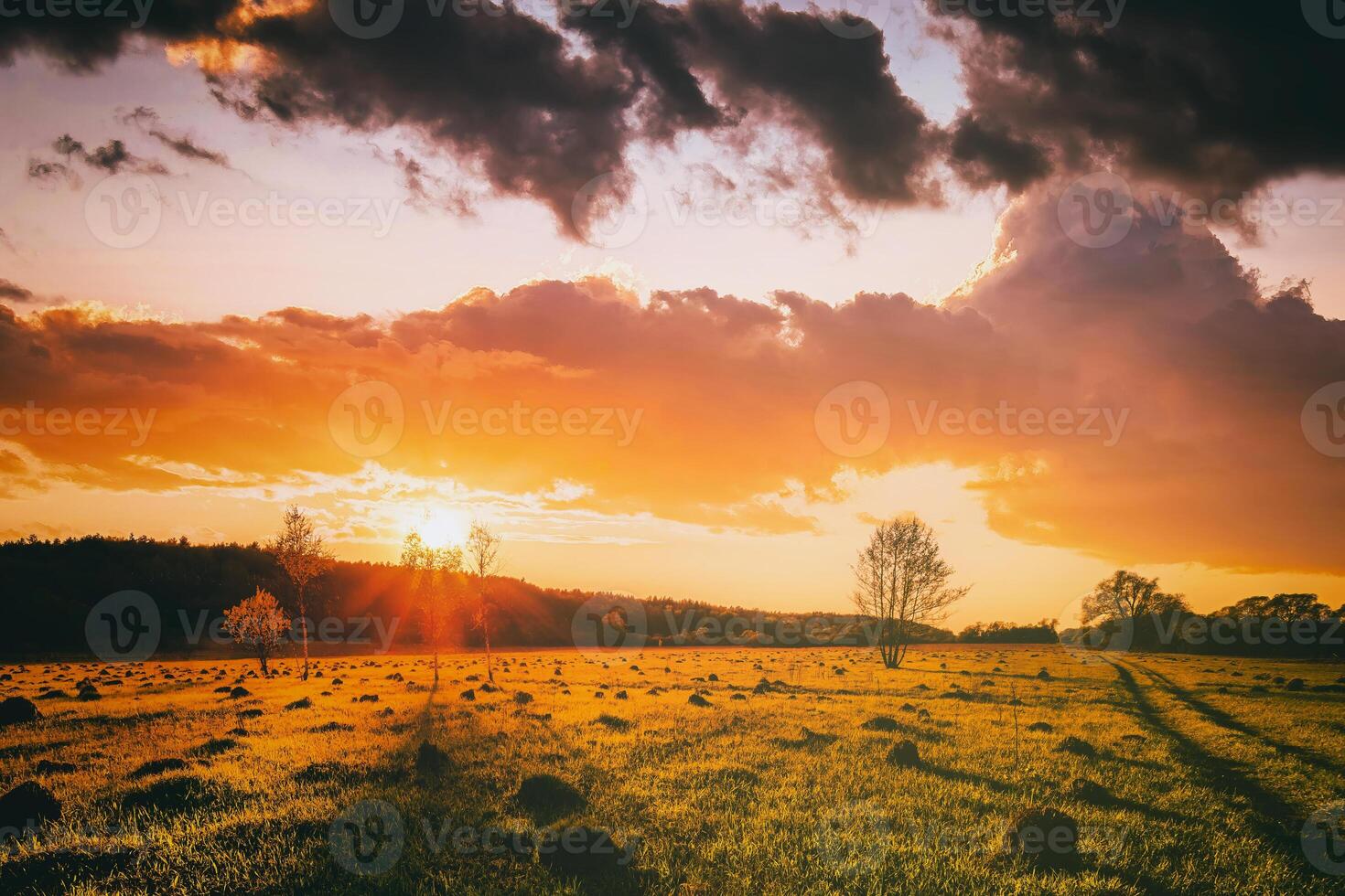 pôr do sol ou nascer do sol dentro uma Primavera campo com verde grama, salgueiro árvores e nublado céu. vintage filme estética. foto